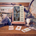The Light Shall Set You Free | Dr Norma Milanovich & Dr Shirley McCune | 1996 | Pre-Owned