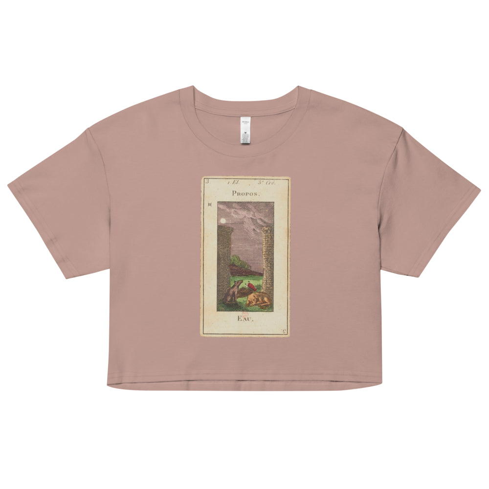 Vintage "Grand Etteilla" French Tarot "The Moon" | Crop Top-Haus of Darkness, Haus of Light