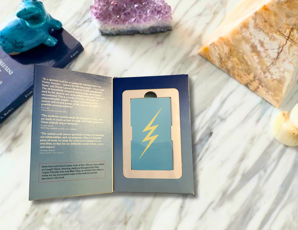 Medicine Cards: The Discovery of Power Through the Ways of Animals | Jamie Sams & David Carson | 1988| Pre-Owned