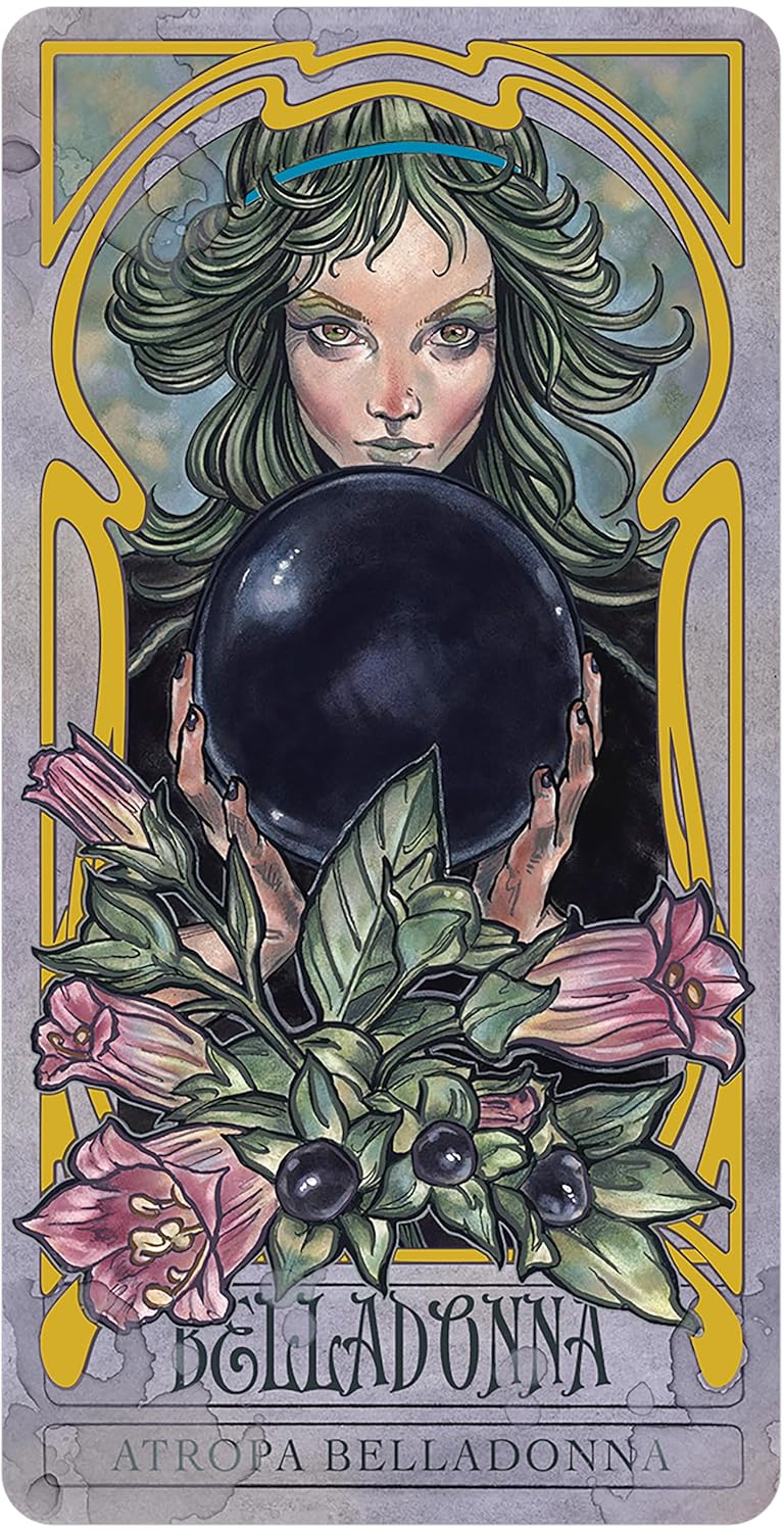 Lady Stirling's Wicked Garden oracle | Matt Hughes | New