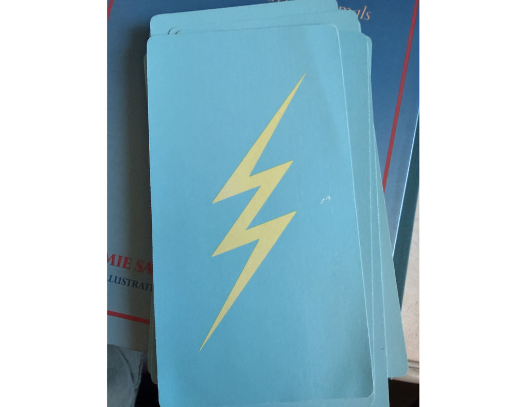 Medicine Cards: The Discovery of Power Through the Ways of Animals | Jamie Sams & David Carson | 1988| Pre-Owned