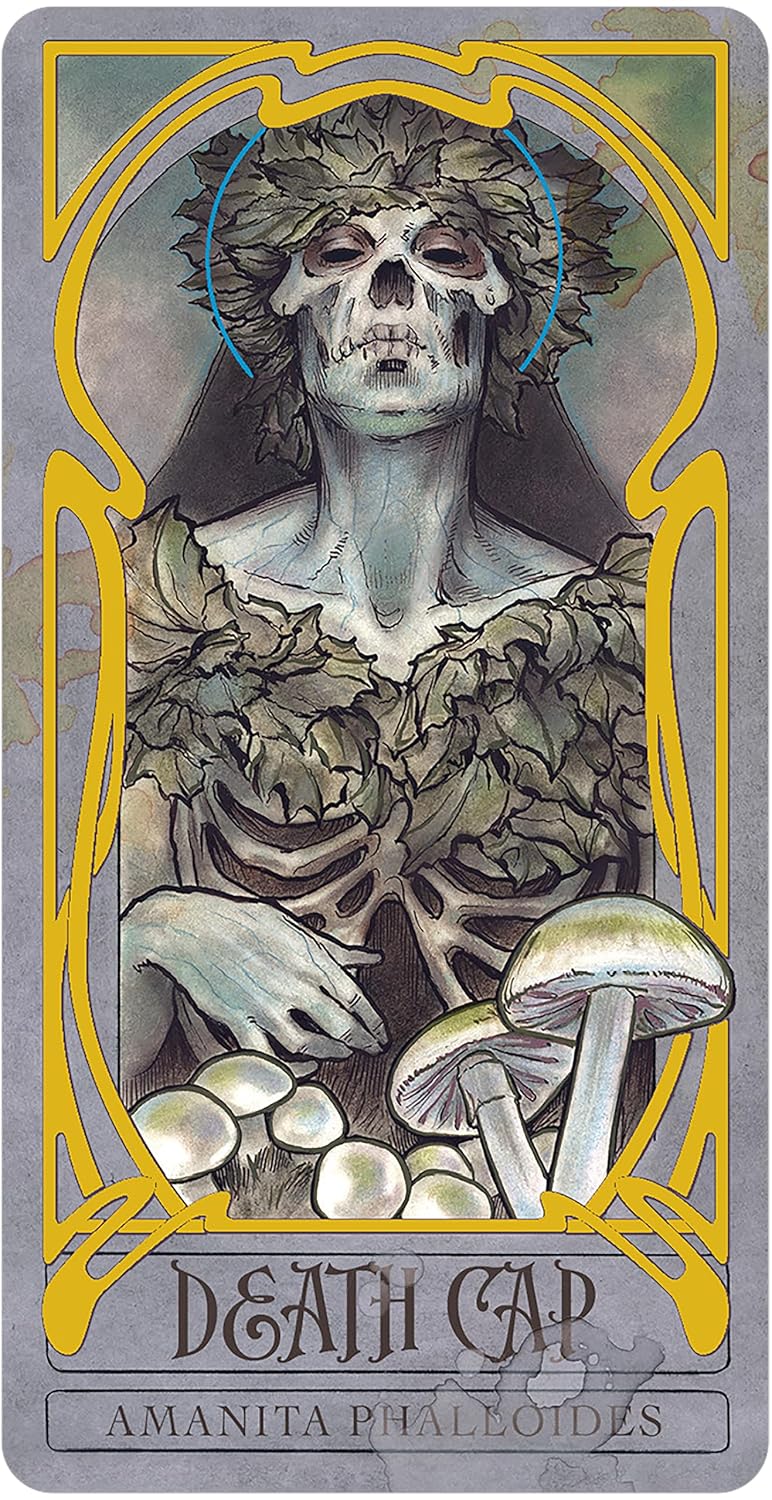 Lady Stirling's Wicked Garden oracle | Matt Hughes | New