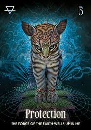 Shamanic Oracle | Tamani & Tamani | New