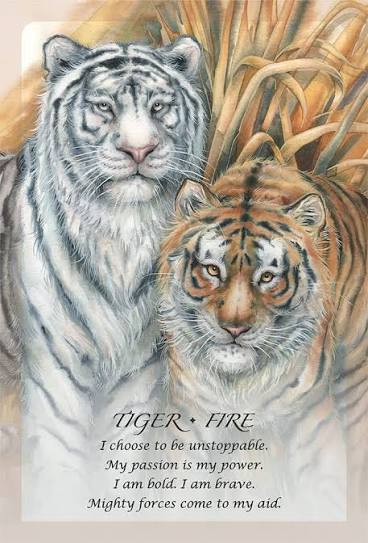 Spirit of the Animals Oracle | Jody Bergsma | New
