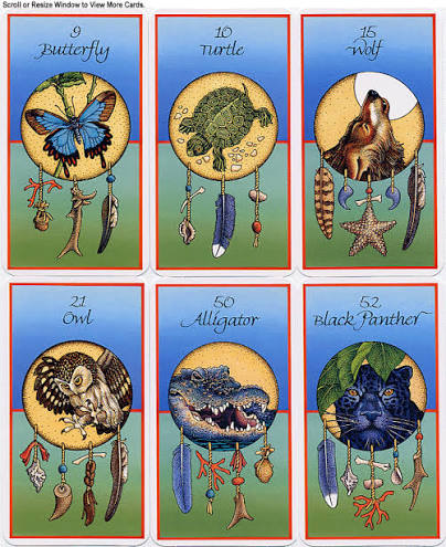 Medicine Cards: The Discovery of Power Through the Ways of Animals | Jamie Sams & David Carson | 1988| Pre-Owned
