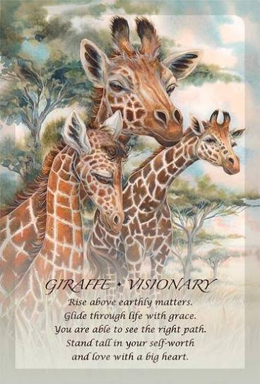 Spirit of the Animals Oracle | Jody Bergsma | New