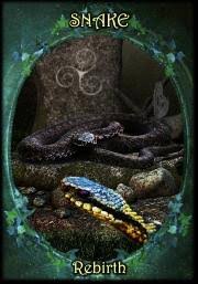 Witches' Familiars oracle | Meiklejohn-Free & Peters | New