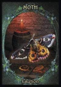 Witches' Familiars oracle | Meiklejohn-Free & Peters | New