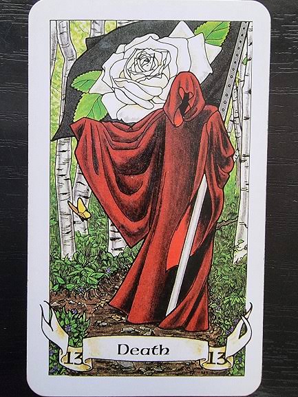 Robin Wood Tarot | Robin Wood | New