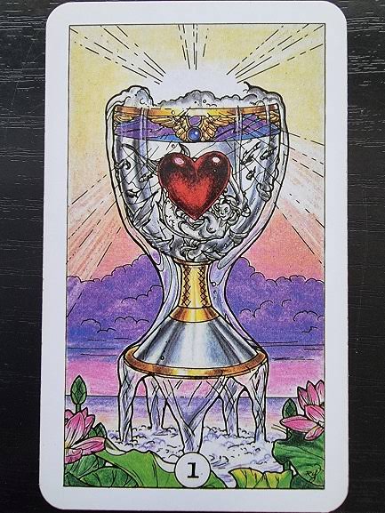 Robin Wood Tarot | Robin Wood | New