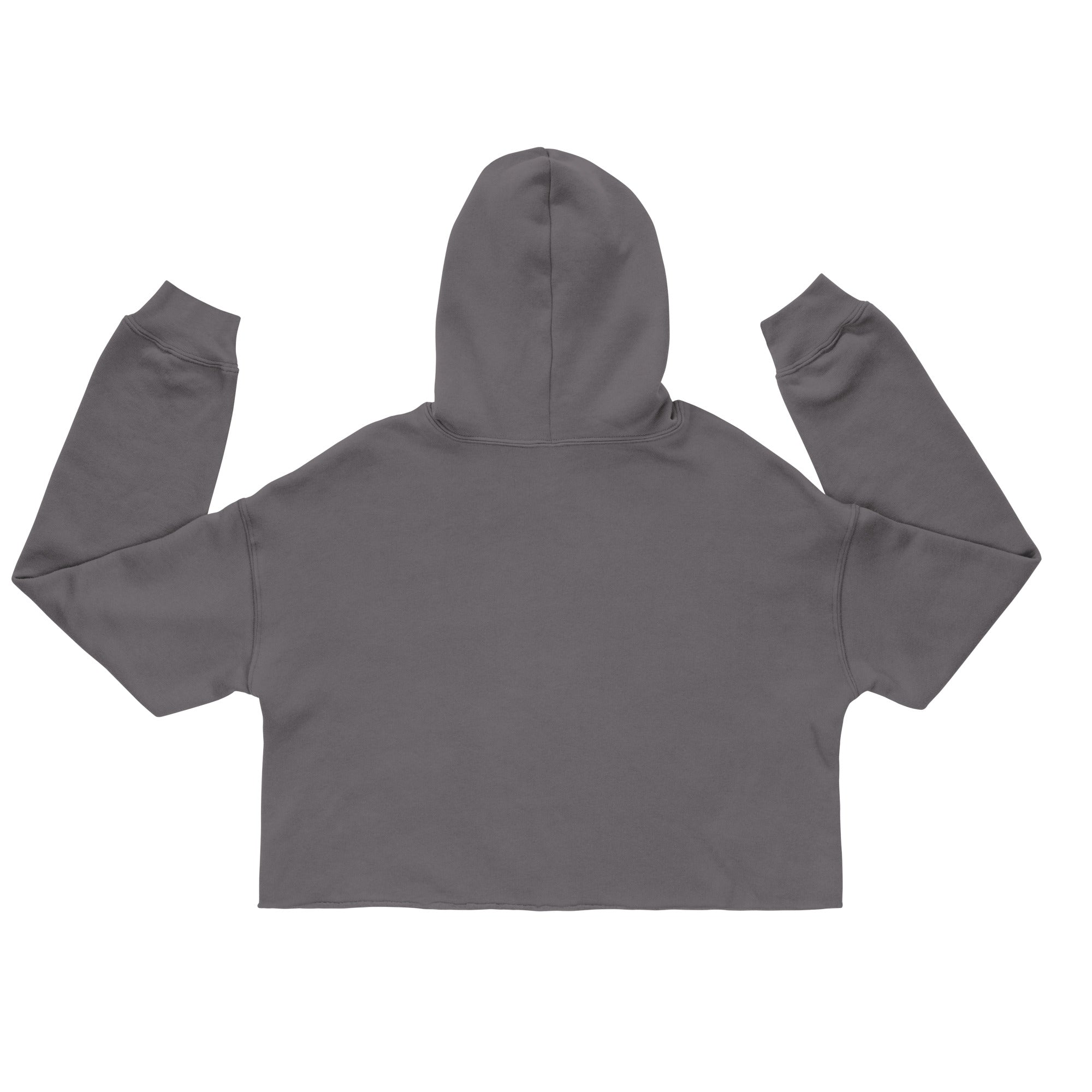Haus of Darkness Haus of Light Logo | Crop Hoodie-Haus of Darkness, Haus of Light
